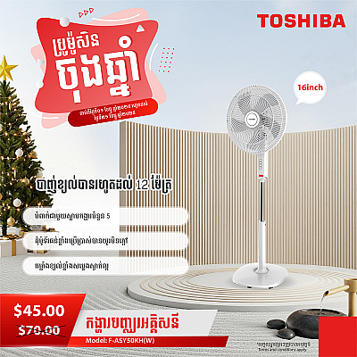 Toshiba Electric Fan 16 inch